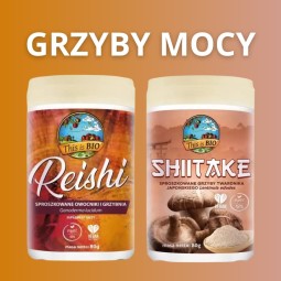 GRZYBY MOCY