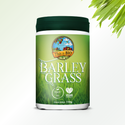 Opakowanie Barley Grass This is BIO obok trawy jęczmiennej – organiczny superfood