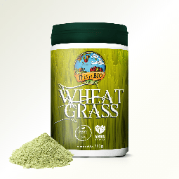 Ekologiczna młoda trawa pszeniczna This is BIO Wheat Grass w proszku 110g z porcją produktu obok opakowania.
