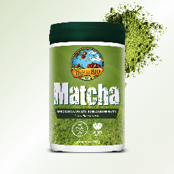 kologiczna sproszkowana herbata zielona Matcha This is BIO w szczelnym opakowaniu 90g.