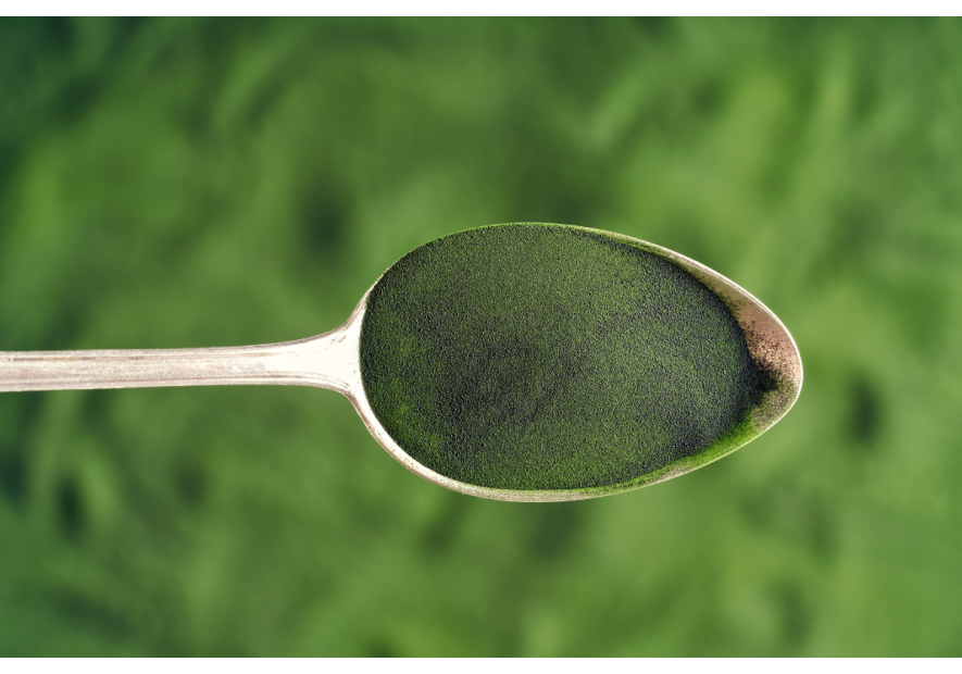 Odkryj chlorelle - superfood przyszłości